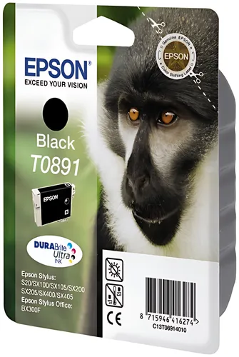 Epson C13T08914011/T0891 Tintenpatrone schwarz, 170 Seiten ISO/IEC 24711 5.8ml