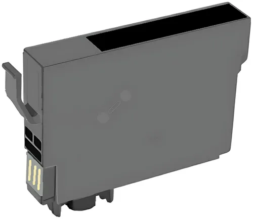 Kompatibel PRIET2991G Tintenpatrone schwarz, 470 Seiten (ersetzt Epson 29XL)