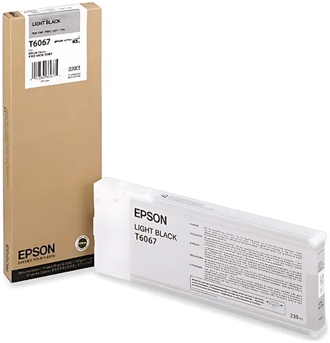 Epson C13T606700/T6067 Tintenpatrone schwarz hell 220ml